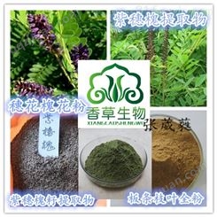 紫穗槐籽提取物10:1浓缩液椒条流浸膏棉条粉