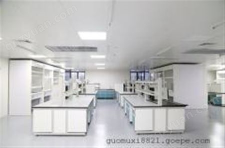 汕头实验室家具生产厂家，实验台，通风柜，环扬