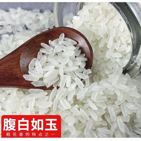 五常大米团购 礼盒包装图片稻花香2号水稻 正宗产地 五常民乐朝鲜族乡 和粮农业