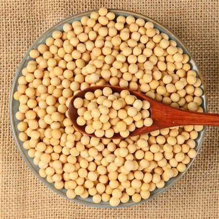 黑龙江黄豆价格 东北大豆批发市场 2021豆瓣价格 做豆腐用半粒黄豆 和粮农业