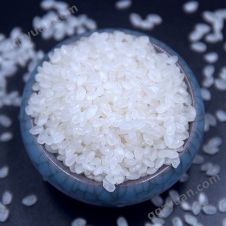 餐饮渠道东北大米 黑龙江50斤包装低端米批发 珍珠米25kg寿司米食堂粳米 和粮农业