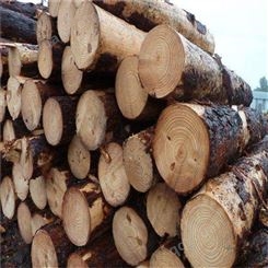 进口非洲乌木木材清关深圳蛇口港海关审价怎么处理要准备的文件