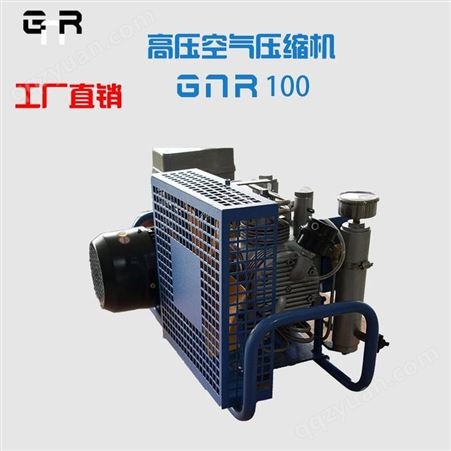 GNR100 小型高压空气压缩机 便携式空呼充气泵 30Mpa空气压缩机 空气充填泵 空气填充泵 格拿瑞