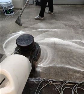北四环 安翔桥洗地毯 1小时达快速便捷清洗 化纤 纯毛块毯