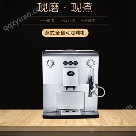 JAVA咖啡机鼎瑞咖啡机wsd060哪里生产的 万事达咖啡机公司生产
