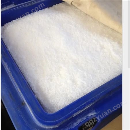 广州保时洁2mm高纯度食品级颗粒米粒干冰 食品冷藏冰鲜 速冻冷藏