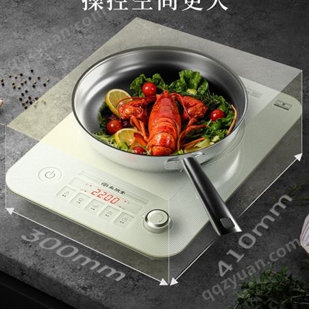 尚朋堂新款电磁炉家用智能预约定时触控火锅炒菜大功率电池炉