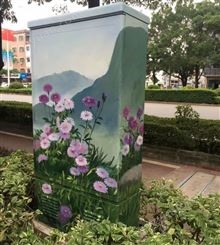 深圳电箱彩绘案例 作品由劲美墙绘制作完成 彩绘绘画