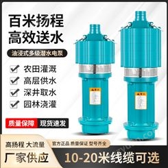上海多级潜水泵油浸式抽水泵220v高扬程380v机械密封大流量深井泵