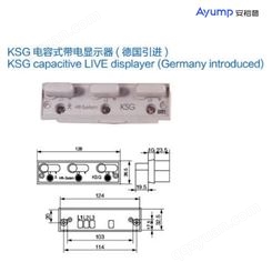 KSG电容式带电显示器(德国引进)