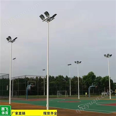支持定制6米8米篮球场照明灯杆 户外球场照明灯杆