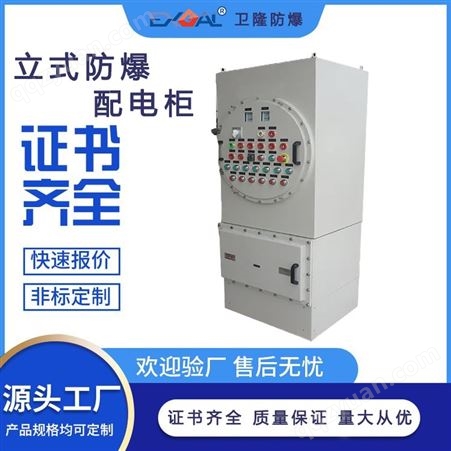 卫隆 水泵专用 防爆配电箱柜 BXMD 立式安装 厂家定制